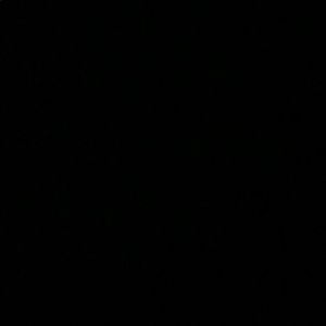 Meet your Posher, Evelyn